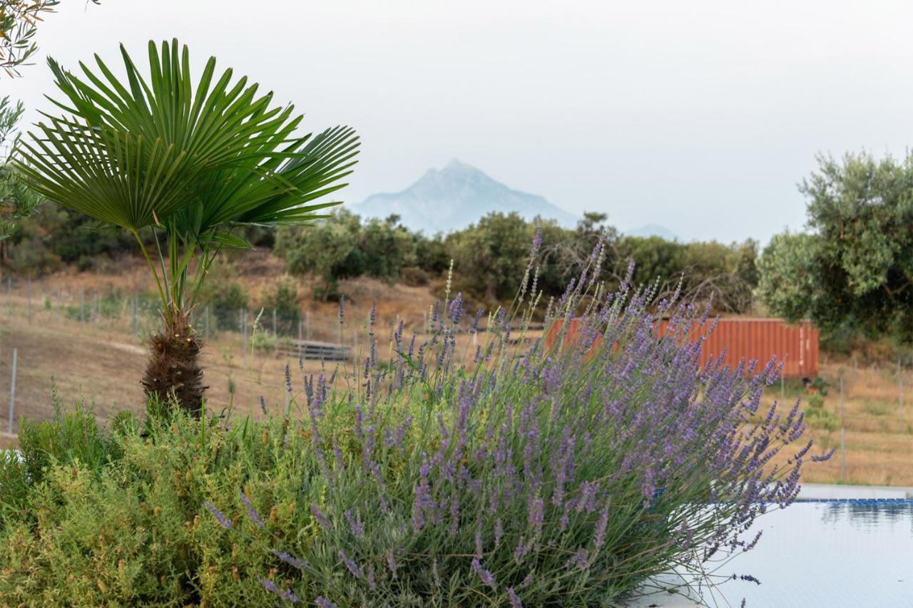 Afisia Villas Sarti Exteriér fotografie